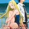 Bright Sun - Dark Shadows - Band 1 (Deutsch)