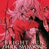 Bright Sun - Dark Shadows - Band 6 (Deutsch)