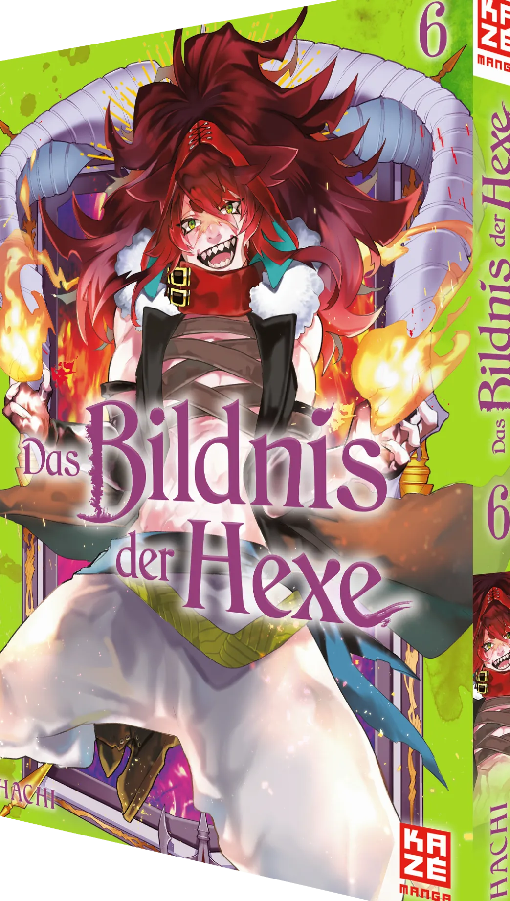 Das Bildnis der Hexe - Band 6 (Deutsch)