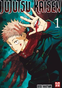 Jujutsu Kaisen - Band 1 (Deutsch)
