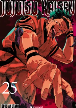 Jujutsu Kaisen - Volume 25 (Deutsch)