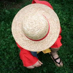 One Piece - Luffy Straw Hat