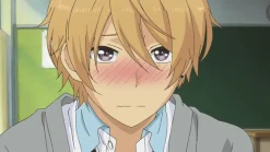 ReLife: Final Arc - OVAs - Blu-ray (Deutsch)