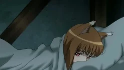 Spice & Wolf - Blu-ray Band 1 (Deutsch)