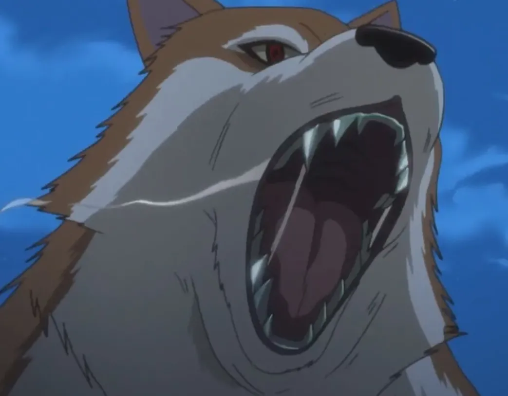Spice & Wolf - Blu-ray Band 1 (Deutsch)