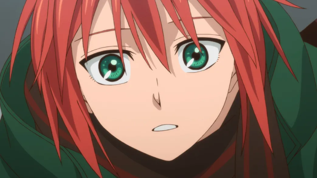 The Ancient Magus' Bride - Blu-ray Gesamtausgabe ohne OVA (Deutsch)