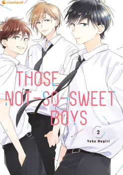 Those Not-So-Sweet Boys - Band 2 (Deutsch)