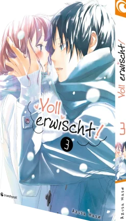 Voll erwischt! - Band 3 (Deutsch)